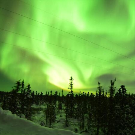 Aurora Deluxe Guest House Yellowknife Ngoại thất bức ảnh