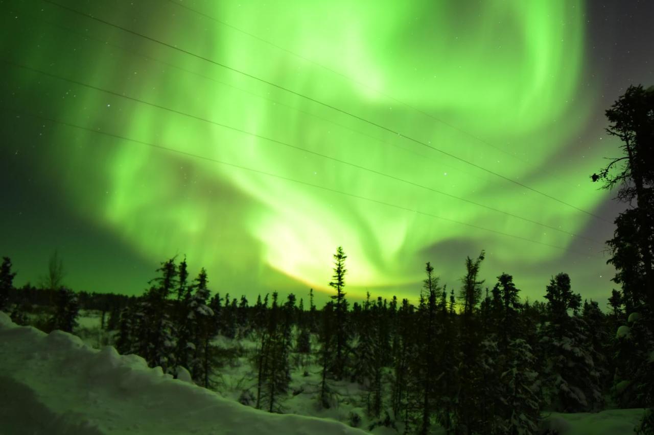 Aurora Deluxe Guest House Yellowknife Ngoại thất bức ảnh